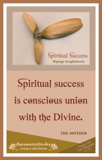 Spiritual Success.jpg